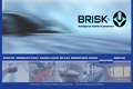 Bujias Brisk